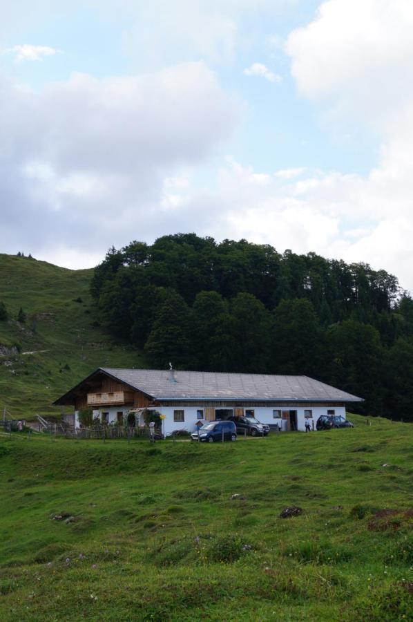 Schneiderbauer Bed and Breakfast Waidring Exteriör bild